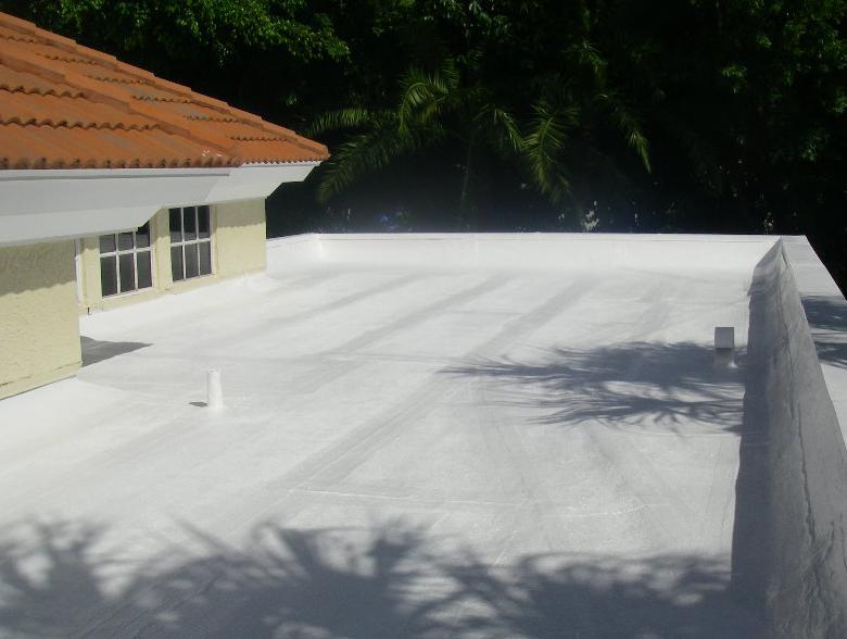 elastomeric coating pic 3.jpg
